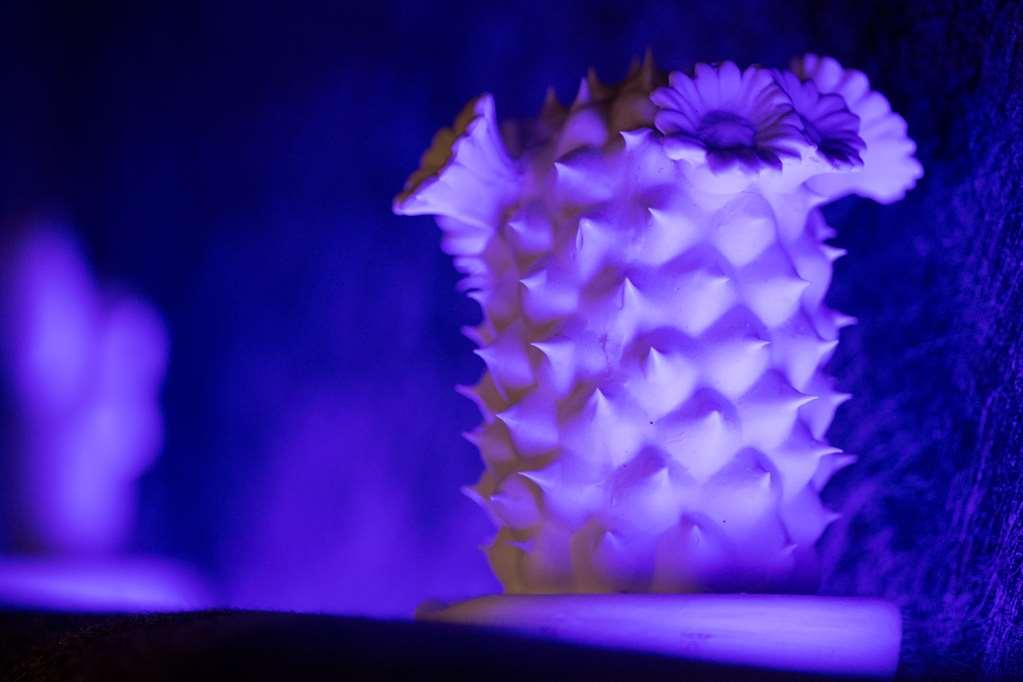 ペンタホテル リエージュ 設備 写真